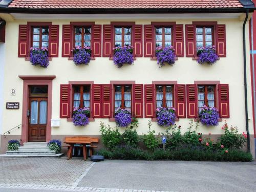 Haus am Bühl - Accommodation - Schönau im Schwarzwald