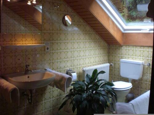 ห้องน้ำ, Amstadt's Birkenfels in บัดเฮอร์เรนัลบ์ ทาวน์ เซ็นเตอร์