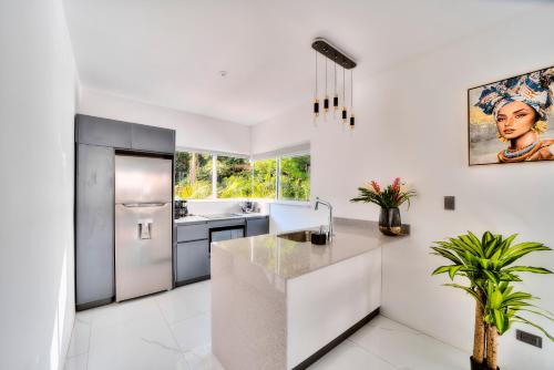 주방, Villas Ríos del Caribe (Villas Rios del Caribe) in 푸에르토 비에호 데 탈라망카