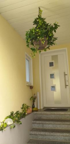 Viesnīcas āriene, Ferienwohnung Schmidt in Grossdubrau