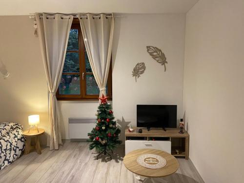 Studio Cocon de Plumes Studio Cocon de Plumes