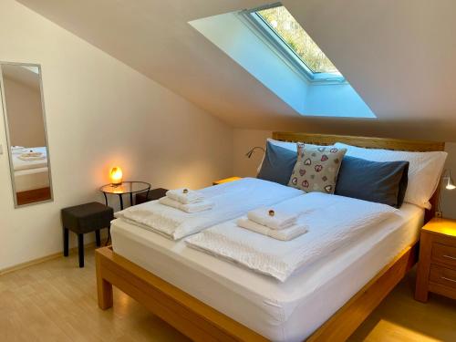 Haus Salzkristall – Obertraun, MI