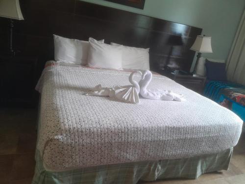 Hato viejo, PH Las Palmas, Cabaña 14 (Hato viejo, PH Las Palmas, Cabana 14) in แกมโบ