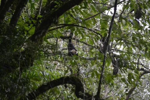 Cafe de Eleta in Nueva California