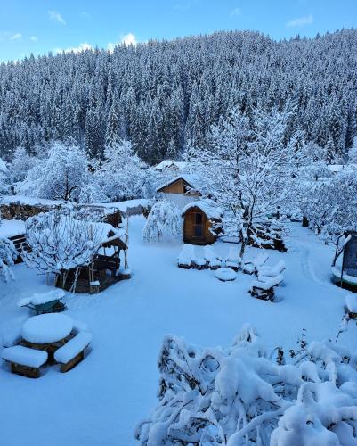 Pensiunea Bradet in 弗拉辛