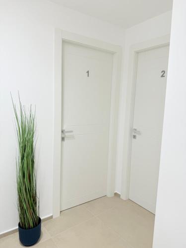 Santa Rosalia Suites 5