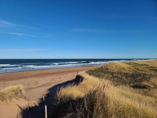 Apkārtne, Thunder Cove Holiday Beach House in Darnley (PE)