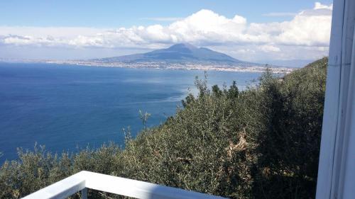 Ambrosio home Ambrosio home