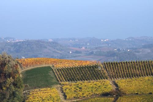  Cascina Marcantonio, Acqui Terme bei Silvano dʼOrba