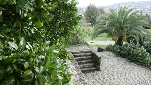 Quinta de Lourosa - image 5