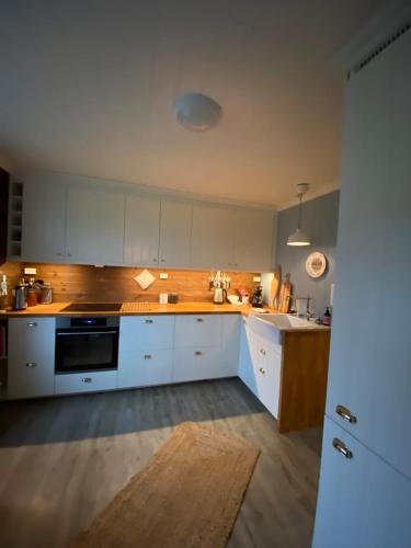 Holiday house Vindafjord Norway in Olsvagen