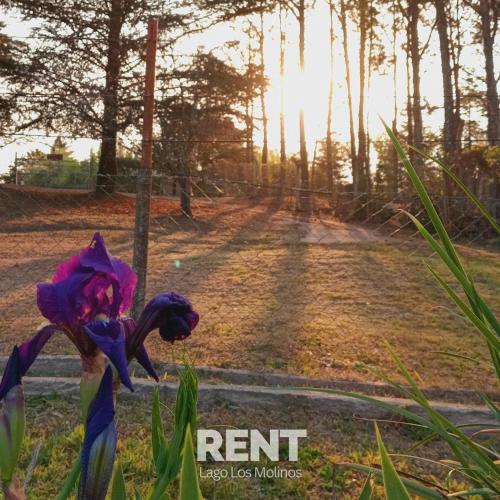 "To'Ique" Casa del Río ("To'Ique" Casa del Rio) in Potrero De Garay