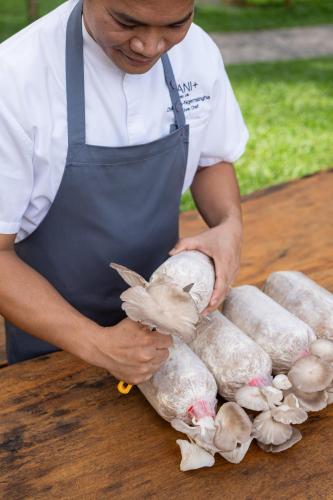 Avani Plus Khao Lak Resort