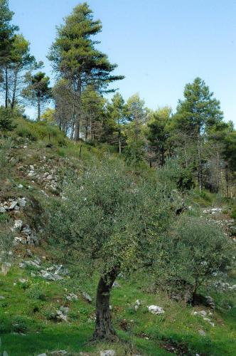 Sentieri Luminosi - image 7