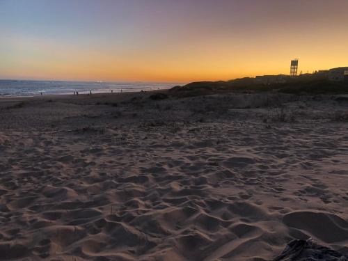 Shore Enuff - Ocean and Garden View Shore Enuff - Ocean and Garden View