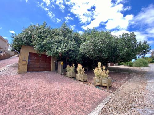 Shore Enuff - Ocean and Garden View Shore Enuff - Ocean and Garden View