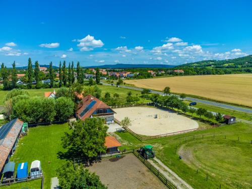 Gyulavezér Lovasbirodalma, Gyulakeszi