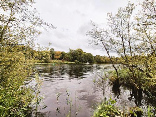 Ferienwohnung "Mohnblume" Objekt-ID 15679-0