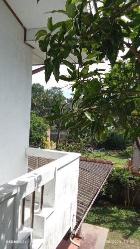 Adwin Villa, Galle (fotografie 6)