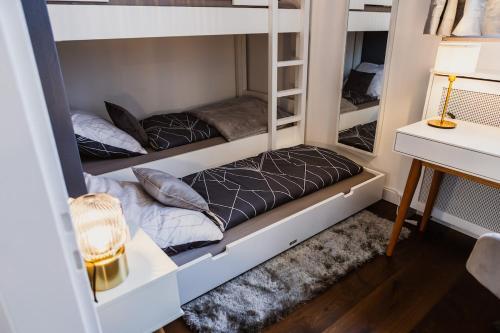 The Penthouse Basel, Basilej (fotografie 7)