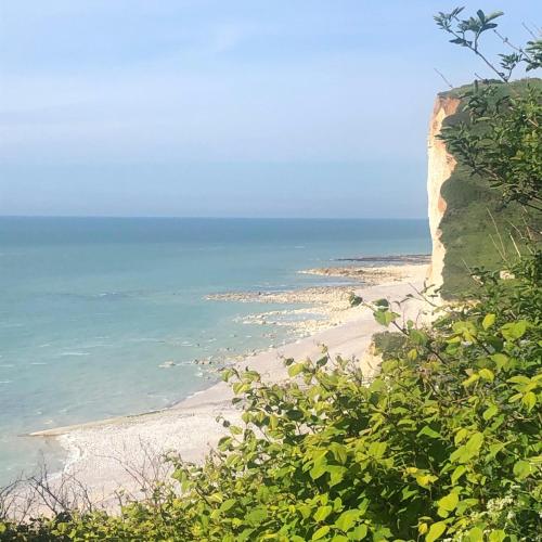 Maison familiale avec piscine Les Petites Dalles in Sassetot-le-Mauconduit