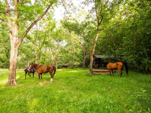 Umgebung, Buhleni Farm Chalets in Lobamba