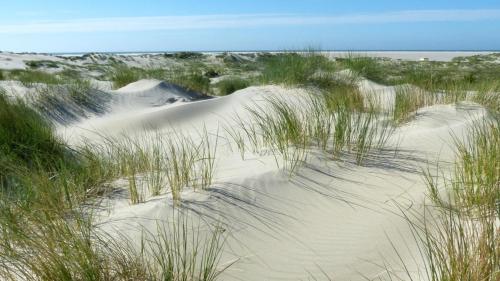 strand, Kaap2 - Boutique Hotel in Borkum