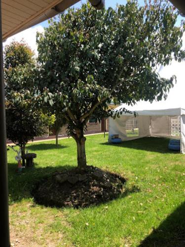 Camp John 511 in Aberdare Nemzeti Park