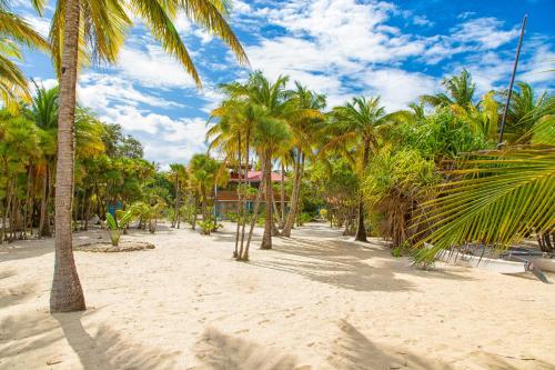 ชายหาด, Wild Orchid in พลาเซนเซีย