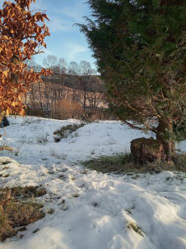 Навколишнє середовище, The Wee Bothy at Larchwood Croft in Стронтіан
