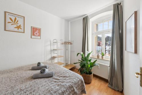 Sonniges Apartment Privatparkplatz Südterrasse, Drážďany (fotografie 7)