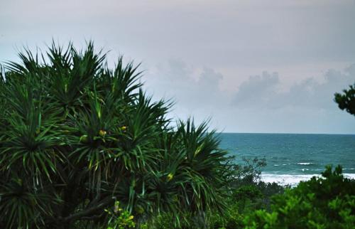 Little Gem in Peregian Beach - walking distance to beach with pool, Peregian Beach (foto 10)