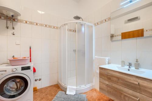 One-Bedroom apartment Standard image 5