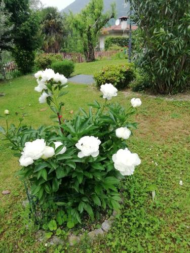  Alloggio Cristina in Valdobbiadene