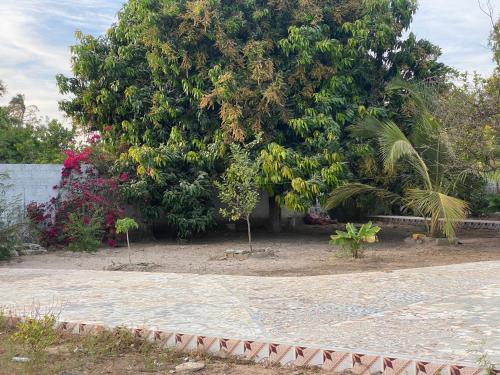 Lena avenue in Sanyang