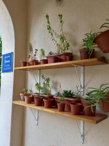 Studio Apartman Elena, Split (photo 5)