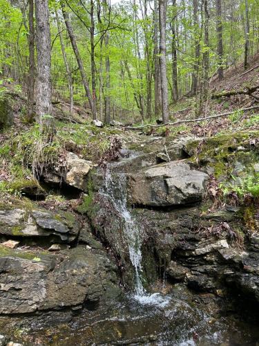 Stayhocha Creekside Pets Lux Cabin Views Hot Tub