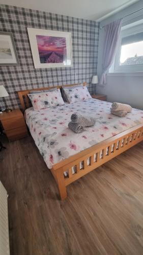 Innisfail Edi Innisfail Edi