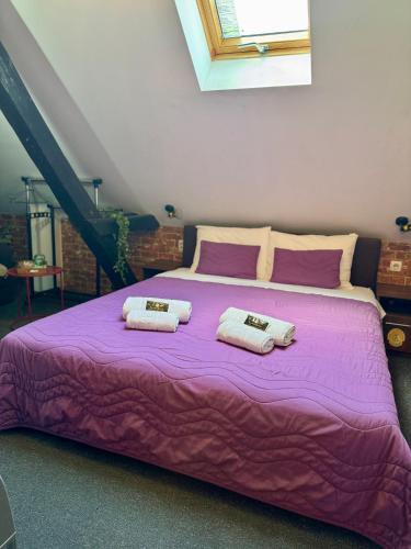 Piroćanac Hotel Rooms with restaurant - image 5