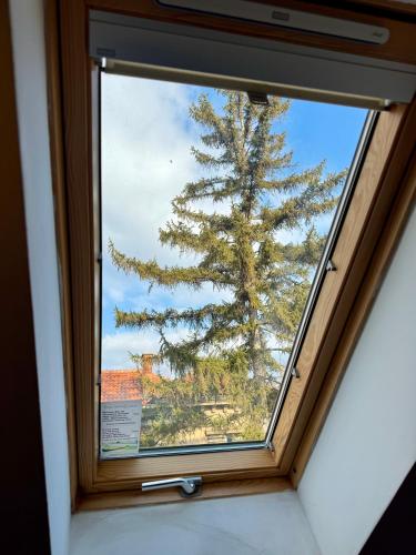 Piroćanac Hotel Rooms with restaurant - image 6