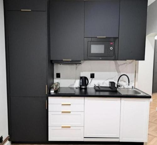 Kopernik Premium Rooms Apartment in Торунь