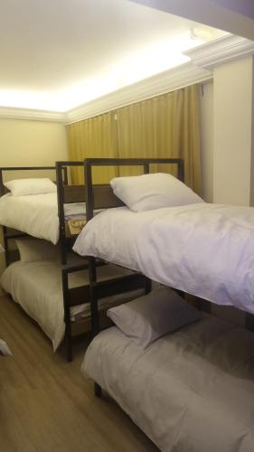 Paxx Istanbul Hotel&Hostel – Istanbul, FL