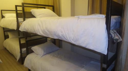 Paxx Istanbul Hotel&Hostel – Istanbul, FL