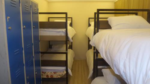 Paxx Istanbul Hotel&Hostel – Istanbul, FL