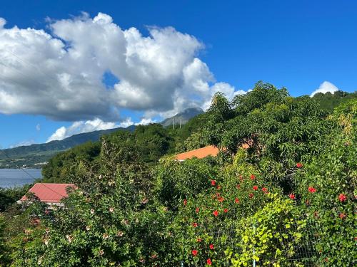 Studios Latouche in Le Carbet