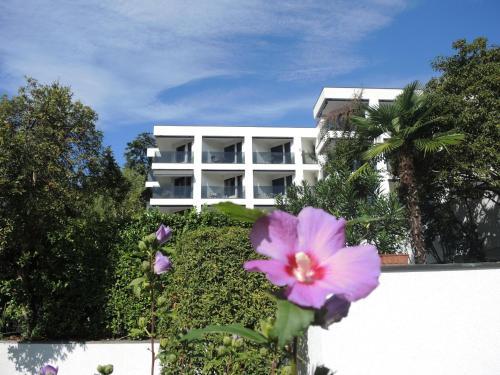 Fiore Rosa by Fewotessin in Ascona, Schweiz