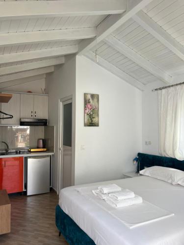 One-Bedroom Apartment image 4