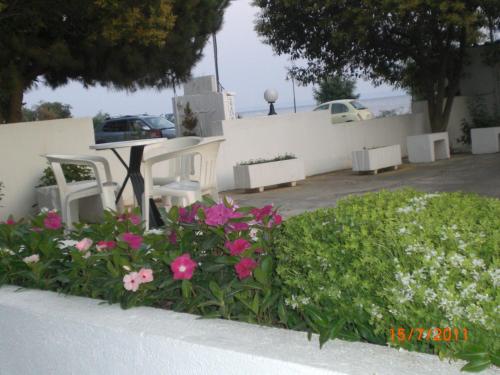 Apocalypsis Studios-Apartments