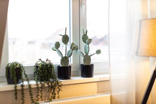 Seadmed, Apartment Suite von Spears - Edles Design mit Balkon und kostenloser Tiefgarage im Neuseenland in Markkleeberg
