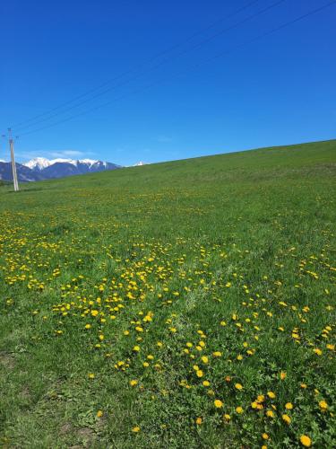 Domceky Holiday - image 14